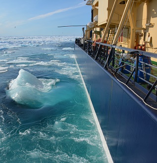 Ship in icy waters.